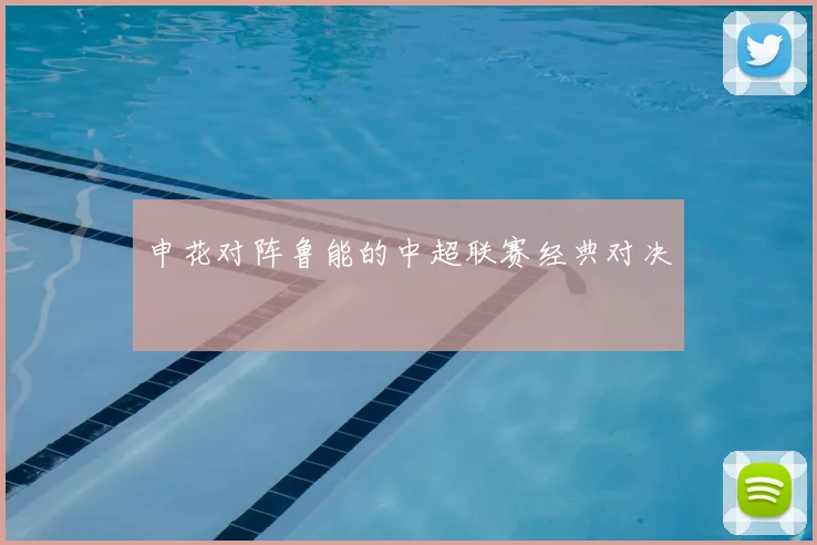 申花对阵鲁能的中超联赛经典对决